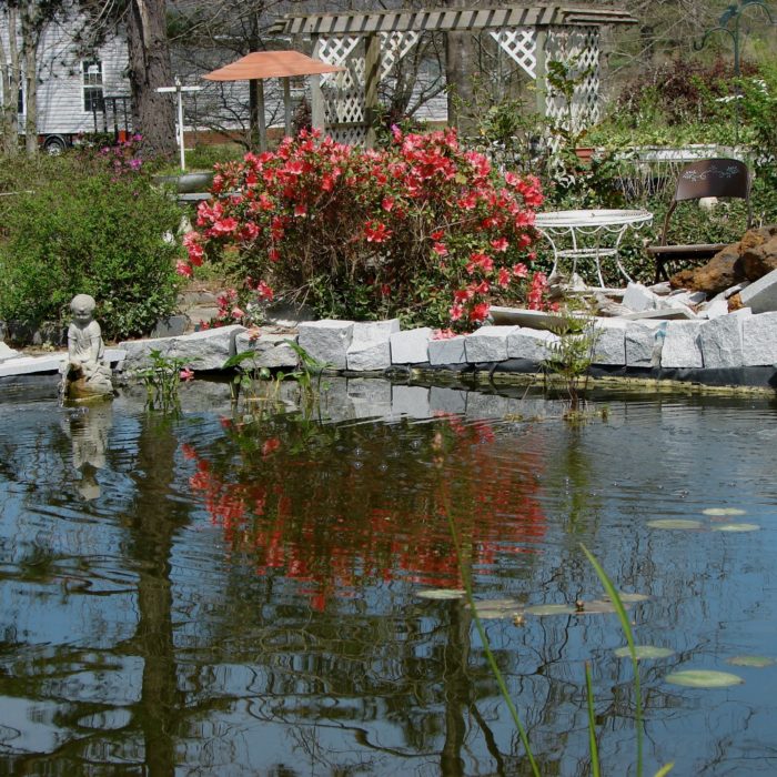 A pond surrounded by gardens