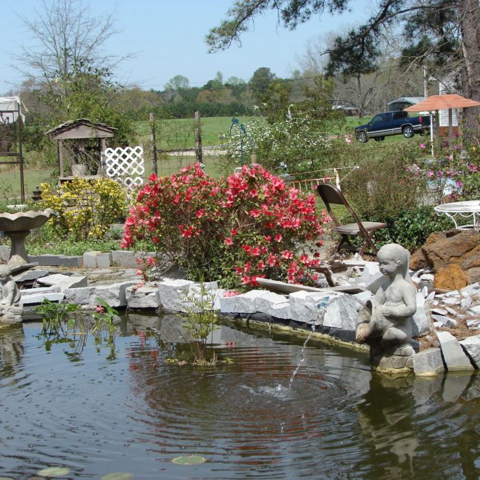 A view of the pond surrounded by flowering pants